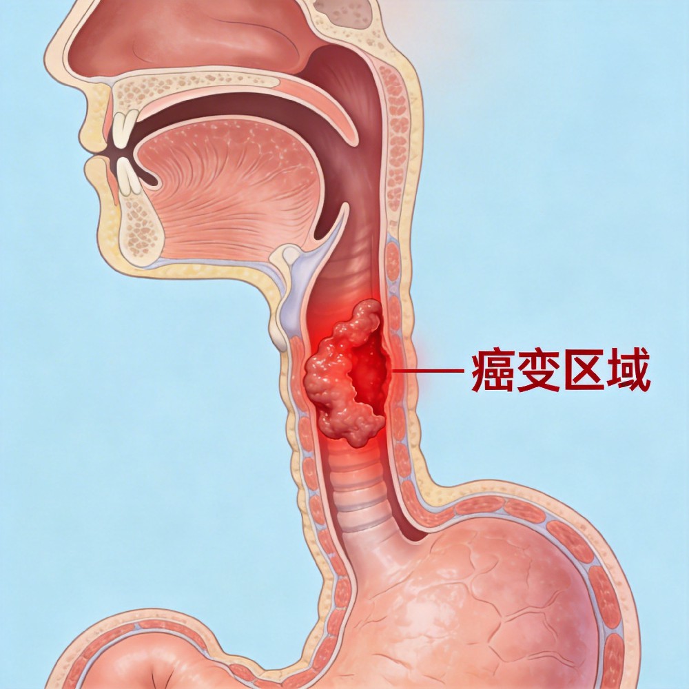 10 critical points from epic security manifesto inability