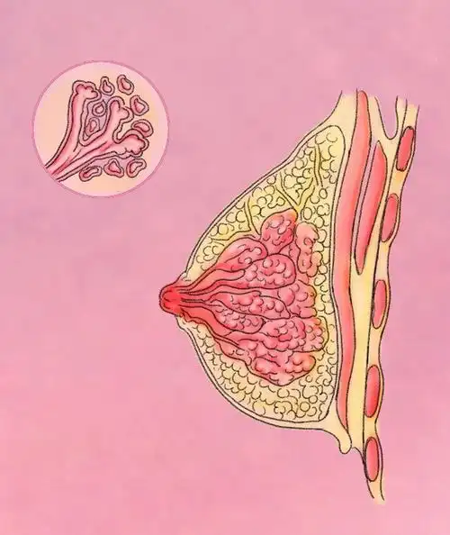 10 critical points from epic security manifesto inability