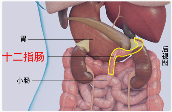 10 critical points from epic security manifesto inability