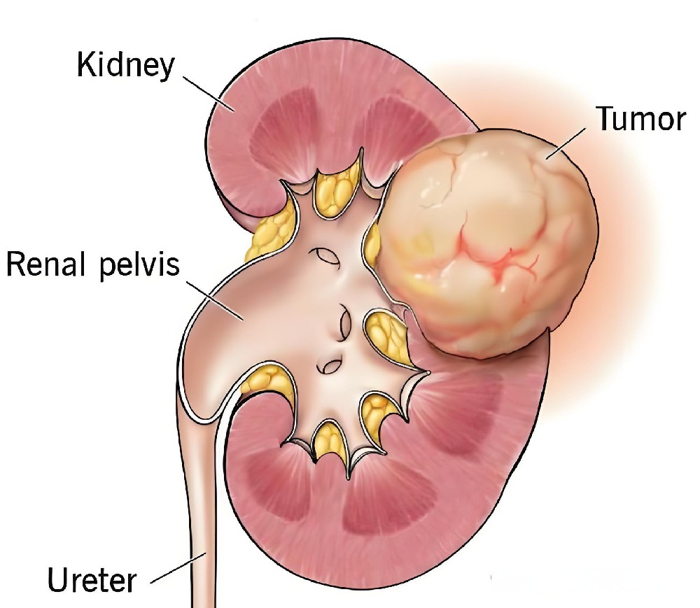10 critical points from epic security manifesto inability