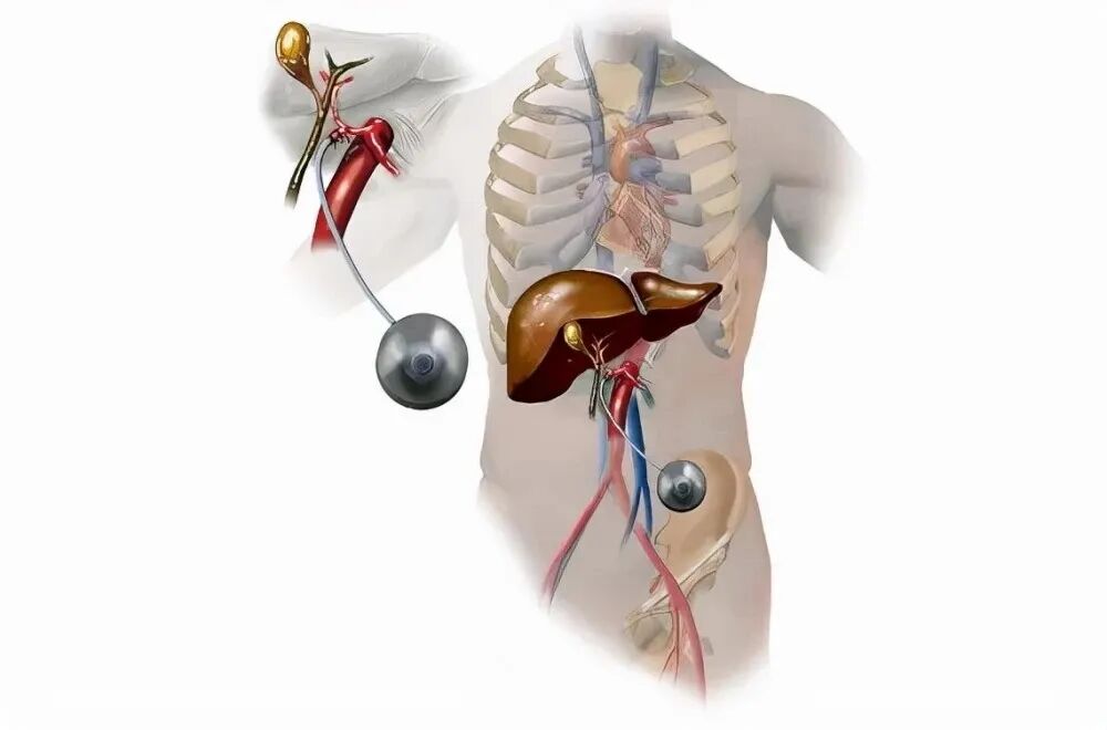 10 critical points from epic security manifesto inability